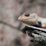 Adapting-with-Agility-Why-Freelancers-Excel-in-Flexibility-and-Personal-Attention-for-SEM